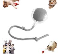 YOHFRFGX Chewie Ball, Chewie Viral Rolling Ball, Interactive Cat Ball Toy, Chewie Ball for Dogs, Chewie Smart Automatic Rolling Pet Ball, Automatic 360° Rotating Rolling Ball with USB Charging (Gray)