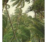 Yokai - Coup de grace