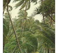 Yokai - Coup de grace (Vinyl) [Vinilo]