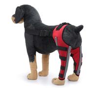 YolieraArt Soporte de pierna trasera para perro, doble soporte de pierna trasera con diseño reflectante, material de neopreno para dislocación de rodilla, estabiliza las articulaciones, reduce el