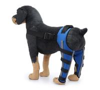 YolieraArt Soporte de pierna trasera para perro, doble soporte de pierna trasera con diseño reflectante, material de neopreno para dislocación de rodilla, estabiliza las articulaciones, reduce el
