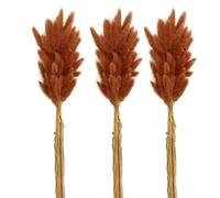 YOLNEY 1 Juego Hermoso y práctico Hierba de Cola de Conejo Atractiva decoración Interior Flor Seca Amplia aplicación-marrón-30PCS