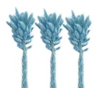 YOLNEY Juego de Hierba de Cola de Conejito Hermosa y práctica Atractiva decoración Interior Flores Secas Amplia aplicación-Azul CIELO-30PCS