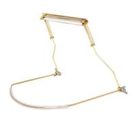 Yominerr Soporte para Armónica FW-5 de 24 Orificios, Construcción Metálica, Soporte de Cuello Ajustable, Accesorios Profesionales para Armónica, Dorado.
