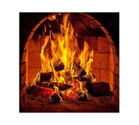 YongFoto 1,5x1,5m Vinilo Fondo de fotografía Chimenea De La Vendimia Leña Fuego Caliente Llamas Telón de Fondo Decoracion de Fiesta Fotografía Estudio de Foto Fondos fotográficos Accesorios