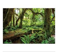 YongFoto 1,5x1m Bosque de Primavera Fondo Verde Tropical Bosque Original Safari País de Las Maravillas Prado Selva Fondo de Cabina de Fotos para niños Adultos Accesorios de Estudio fotográfico