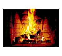 YongFoto 1,5x1m Vinilo Fondo de fotografía Chimenea Fogata Leña Llama Parpadeante Telón de Fondo Decoracion de Fiesta Fotografía Estudio de Foto Fondos fotográficos Accesorios