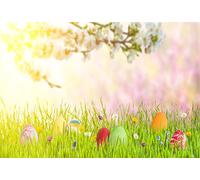 YongFoto 1,5x1m Vinilo Fondo de Fotografia Pascua Huevos en Rama de Hierba Verde con Flores Blancas Rayos de Sol Telón de Fondo Photo Booth Infantil Party Banner Niños Photo Studio Props