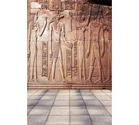 YongFoto 1,5x2,2m Fondos Fotograficos Tallas Jeroglíficas Antiguo Templo Egipcio Faraón Egipto Faraón Fondos para Fotografia Fiesta Niños Boby Boda Retrato Personal Estudio Fotográfico Accesorios