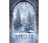 YongFoto 1,5x2,2m Vinilo Fondo de Fotografia Navidad Cuento de Hadas Puerta arqueada Las Maravillas de Invierno Copos de Nieve Árboles Telón de Fondo de Fotografía Bebé Estudio de Foto 5x7ft