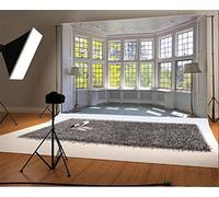 YongFoto 2,2x1,5m Fondos Fotograficos Interior Europeo Edificio French Sash Sunshine Nature Otoño Fondos para Fotografia Fiesta Niños Boby Boda Adulto Retrato Personal Estudio Fotográfico Accesorios