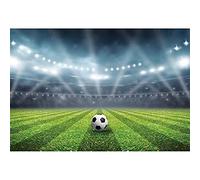 YongFoto 2,2x1,5m Fútbol Arena Estadio Telón de Fondo Foco Iluminado Campo de fútbol Césped Ventiladores Soportes Fotografía Fondo Niños Cumpleaños Festival Evento Fiesta Photo Props poliéster