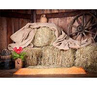 YongFoto 2,2x1,5m poliéster Telón de Fondo Antiguo Granero con Straw Bales Granja Campo Fondo para Fotografia Fiesta Niños Baby Retrato Personal Estudio Fotográfico Accesorios