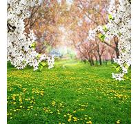 YongFoto 2x2m Fondos Fotograficos Primavera Paisaje Césped Verde Árbol Flor Blanca Prado Margarita Verano Naturaleza Fondos para Fotografia Fiesta Niños Boby Boda Estudio Fotográfico Accesorios