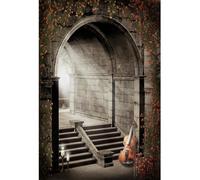 YongFoto 2x3m Fondo Escena del jardín Piedra Arco Escalera Flores Encantada Violín Misteriosa Castillo de la Princesa Telón de Fondo para la Boda Fiesta vampírica Adultos Niños Retrato Fondo