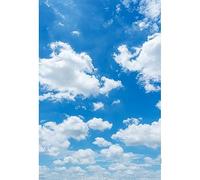 YongFoto 2x3m Vinilo Fondo de fotografía Cielo Azul Nubes Blancas Día Soleado Telón de Fondo de Fotografía Estudio de Foto Studio Props
