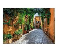 YongFoto 3x2,5m Fondo fotográfico Ciudad Europea Italia Roma Calle Estrecha Muro de Hiedra Soleado Dama Mujer Fondo de fotografía para Bodas Viajes Vacaciones Adultos Retratos Estudio fotográfico