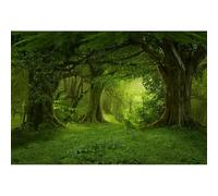 YongFoto 3x2,5m Vinilo Fondo de fotografía Fantasía Selvas del Bosque Árboles Viejos Verdes Naturaleza Telón de Fondo Fotografía Estudio de Foto Boda Fondos fotográficos Papel Pintado