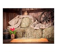 YongFoto 3x2,5m Vinilo Telón de Fondo Antiguo Granero con Straw Bales Granja Campo Fondo para Fotografia Fiesta Niños Boby Retrato Personal Estudio Fotográfico Accesorios
