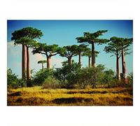 Yongfoto 3x2m paisaje natural fotografía telón de fondo enormes Baobabs fondo seco Madagascar sabana africana vacaciones viajes atracciones foto para adultos niños retrato Disparos Props