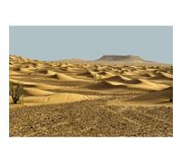 YongFoto 3x2m Paisajes Naturales Fondo Paisaje de Ondas del Desierto Dunas en el Sahara Fotografía Fondo Boda Fecha Amante De Viaje Foto Retrato Accesorios