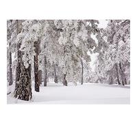 YongFoto 3x2m Vinilo Fondo de Fotografia Nieve Navidad Árboles Fuertes Nevadas WinterHappy Año Telón de Fondo Fiesta Niños Boby Boda Adulto Retrato Personal Estudio Fotográfico Accesorios