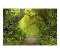 YongFoto 3x2m Vinilo Fondo de fotografía Ver Bosque Verde Selvas Grandes árboles Viejos Camino de Madera Estrecho Telón de Fondo de Fotografía Estudio de Foto Studio Props
