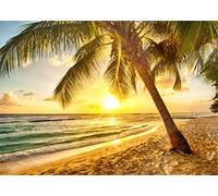 YongFoto 3x2m Vinilo Fondo Playa Fotografia Mar Paisaje Cielo Azul Nubes Blancas Palmera Puesta de Sol Telón de Fondo Infantil Fiesta Cabina de Fotos Bandera Niños Estudio Fotográfico Accesorios
