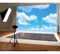 YongFoto 3x2m Vinilo Fondos Fotograficos Cielo azul Nube blanca Naturaleza Ducha de primavera feliz cumpleaños Fondos para Fotografia Fiesta Boda Adulto Retrato Personal Estudio Fotográfico Accesorios
