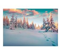 YongFoto 3x2m Vinilo Fondos Fotograficos Paisaje de Invierno con Pasos Abetos Cubiertos de Nieve Navidad Fondos para Fotografia Fiesta Retrato Personal Estudio Fotográfico Accesorios