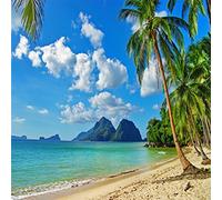 YongFoto 3x3m Vinilo Fondo Playa Fotografia Mar Paisaje Cielo Azul Nubes Blancas Palmera Montaña Telón de Fondo Infantil Fiesta Cabina de Fotos Bandera Niños Estudio Fotográfico Accesorios