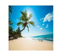 YongFoto 3x3m Vinilo Fondo Playa Fotografia Mar Paisaje Cielo Azul Nubes Blancas Palmera Telón de Fondo Infantil Fiesta Cabina de Fotos Bandera Niños Estudio Fotográfico Accesorios