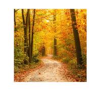 YongFoto 3x3m Vinilo Fondos Fotograficos Antiguo Marrón Ladrillo Pared Textura Fondos para Fotografia Fiesta Niños Boby Boda Adulto Retrato Personal Estudio Fotográfico