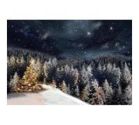 YongFoto 4,5x3m Fondo de Fotografia Circo Parque de Atracciones Patio de recreo Taquilla Montaña Rusa Rueda de la Fortuna Telón de Fondo Photo Booth Infantil Party Banner Niños Photo Studio