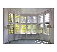 YongFoto 4,5x3m Vinilo Fondo de Fotografia Interior Europeo Edificio French Sash Sunshine Nature Otoño Telón de Fondo Fiesta Niños Boby Retrato Personal Estudio Fotográfico Accesorios