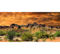 YongFoto Poliéster desierto mexicano arena tierra fotografía fondo vista desierto cactus verde arbusto rocoso foto telón de fondo 72x18 pulgadas tanque dragón reptil hábitat fondo póster