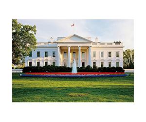 YongFoto Telón de fondo de casa blanca de 5 x 3 pies, Washington DC, palacio presidencial, capital, emblemático, bandera de Estados Unidos, edificio, césped, parterre, fuente, fotografía, fondo para