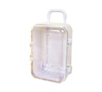 Yooghuge Maleta de equipaje en miniatura, maleta de almacenamiento para viajes, vacaciones, juguetes, caja de caramelos, modelo de bolso para muñecas, accesorio de maleta en miniatura, White, L