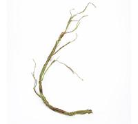 Yooghuge Vid trepadora de 90 cm para reptiles, hábitats, decoración de vides resistentes al agua, terrarios y plantas de paisaje