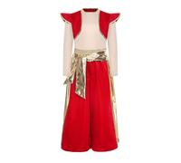 YOOJIA Disfraz De Príncipe Aladino Niños Camiseta Mangas Largas Y Pantalones Bombachos Traje De Principe India Disfraz De Fiestas Temáticas Rojo 11-12 años