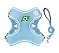 Yoolhamy Juego de arnés y correa sin tirones para perros, arneses para cachorros pequeños, arnés deportivo ajustable y transpirable para mascotas para perros chihuahua extra miniatura (azul, M)