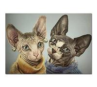Yoonqun DIY 5D Diamond Painting Kit,Gatos Sphynx Pintura de Diamante Kits Completo Cristal Rhinestone Grande punto de cruz bordado Lienzo Art manualidades decor de paredes (30x40cm/12x16in)