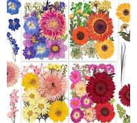 YoothBro 122 piezas de flores prensadas secas reales para moldes de resina, juego de flores de prensado en seco con pegatinas de mariposa para la fabricación de joyas DIY, tarjetas de uñas Love Parade
