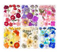 YoothBro 221 flores reales secas prensadas de la naturaleza para la fabricación de resina, flores prensadas en seco con pegatinas de mariposas transparentes, juego de joyas DIY Eternity Summer