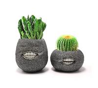 YOOTOM 2 Maceteros Creativo de ventana de Resina, Maceta para Plantas Suculentas Cactus, Macetas Divertida de Cara, Mini Macetas Decorativas para Flores y Plantas Pequeña Forma con Cabeza