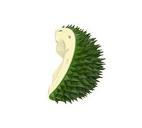 Yopeissn Clítoris de esquina en forma de juguete para gatos, , juguete autoadhesivo Hi, depilador, juguete para mascotas, verde, duradero, fácil de usar