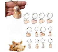 YoPoll Llavero de recuerdo de pelo de gato, colgante de cápsula de almacenamiento de piel de gato transparente, joyería conmemorativa de piel de mascotas para los amantes de las mascotas, llavero de