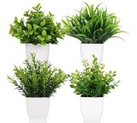 Yoratee 4 macetas pequeñas de Plantas Falsas de plástico Artificial, Plantas de eucalipto, Plantas de Trigo, arbustos, Escritorio, Mesa de café, baño, Dormitorio, decoración del hogar (4)