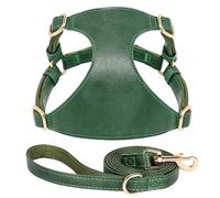 Yorkshire Pug Chihuahua Arnés Ajustable Atentable Soft Y Cómoda PU Leather Dog Carrier Set para Perros Pequeños Y Medianos,Verde,2XS