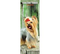 Yorkshire Terrier 2026 - Calendario delgado